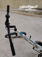  3 بسكليت نمره 24