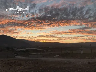  4 ارض للبيع في النصارية مطلة على جميع الجهات ما بسكر عليها حدا وصحية واصل مياه وكهرباء مع جدار جنوبي