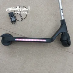  2 Electric Scooter