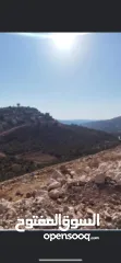  4 ارض للبيع نابلس الجديدة