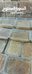  6 مطلوب طيور بدل على عسل