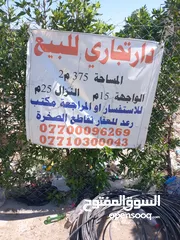  1 عمارة للبيع شارع فلسطين