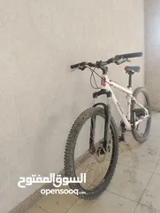  1 بسكليت جبلي للبيع