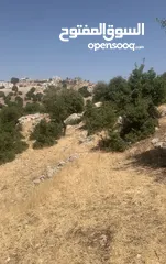  4 قطعه ارض مميزه الزعتري السلط