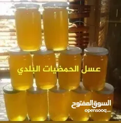  6 عسل طبيعي 100% سدر حمضي جبلي  ومضمون وشمع بالعسل وغداء الملكات
