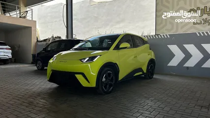  2 BYD SEAGULL 2023