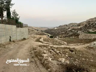  8 ارض في دورا منطقة الصرة تصنيف A طابو
