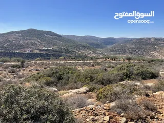  5 تملك قطعة ارض 5 دونم في اعلى جبال بني زيد طابو فلسطيني A والتنازل مباشرة