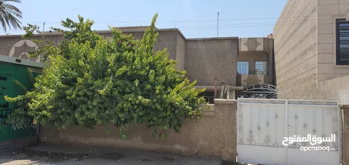  1 بيت قديم  تفليش في اليرموك الداخليه يباع نصفه كقطعه ارض المساحه الكليه 630م