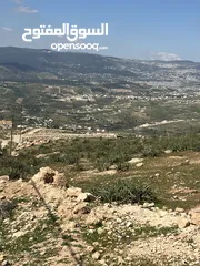  2 اجمل ارض للبيع جرش اسكان المهندسين 500متر مفروزه بقوشان مستقل اطلاله مميزه منبسطه مثل الكفل