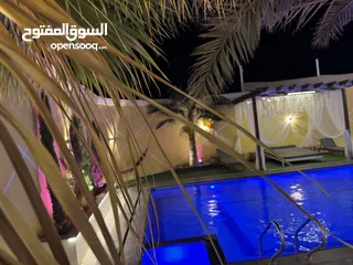  10 شاليه كرم وزيد للإيجار