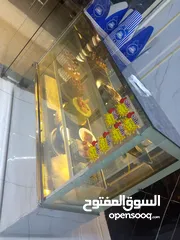  1 ثلاجة قاتو عرض