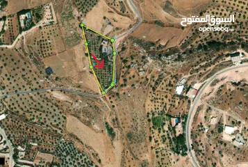  2 مزرعة مشجرة مع بيت ريفي وبركة سباحة في اجمل مناطق السلط للبيع