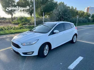  1 Agency Maintained Ford Focus with service package