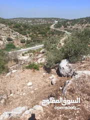  9 القبة الذهبية  شارع بلعا-دير الغصون