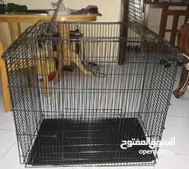  2 stainless steel cage 1 time use for S or M size pets only whatsapp in Description