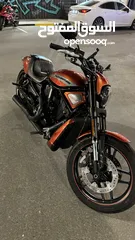  6 Harley Davidson VROD 2012 10th Anniversary