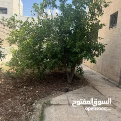  11 منزل سكني فاخر مستقل طابقين +تسوية حي الرونق بيادر وادي السير-من المالك مباشرة