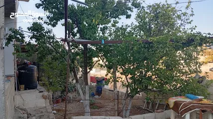  10 بيت مستقل طابقين