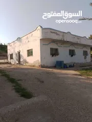  1 بيت للبيع في الغوار