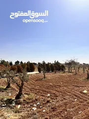  5 تملك أرض مميزة طريق المطار /  أم العمد 1700 متر .
