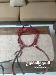  2 لجام خيل كامل نقليزي
