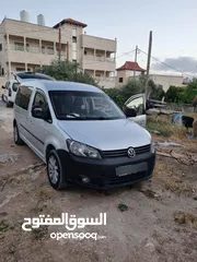  1 كادي شصي طويل