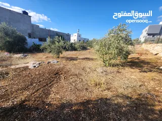  5 وعرة الشايب/عتيل