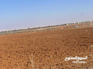  4 اربد قرب جسر النعيمة ارض للبيع زراعية استثمارية مساحة اربعة دونم مفروزة قوشان مستقل حوض مرج الوقفي ‎