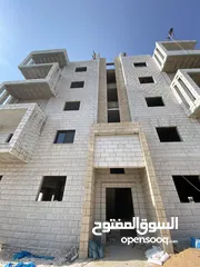  13 شقق عظم جديدة