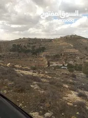  6 كوشان طابو فلسطيني