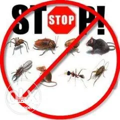  10 مكافحة حشرات Pest control