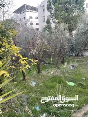  7 شقة للبيع بسعر مغري صويلح قابل للتفاوض من المالك مباشرة امامها مساحة كبيرة ومزرعة ايضا
