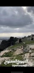  4 ارض سكنية مميزة جدا اطلالة بانورامية فوق الاحراش تصنيف A