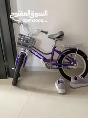  1 Bicycle in good condition