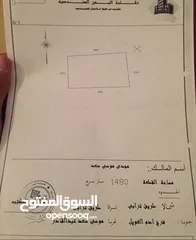  12 قطعة أرض شحات