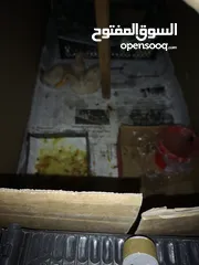 3 بط للبيع عدد 2 عمر شهرين