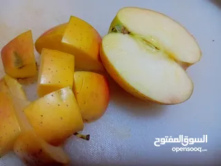  4 خل تفاح مركز ميه بالميه