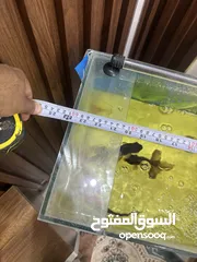  9 حوض اسماك كامل