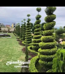  1 زراعه وصيانه الحدائق والمزارع