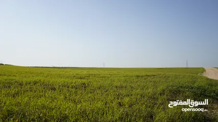  1 ارض مفروزة للبيع من المالك مباشرة (مثلث البترول)