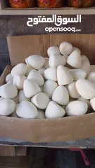  6 جميد كركي سمنه بلدي جبنة غنم