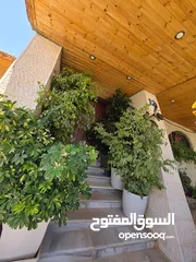  11 بيت مستقل للبيع
