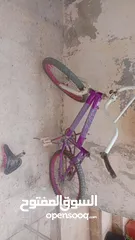  2 بسكليت نوع امريكي