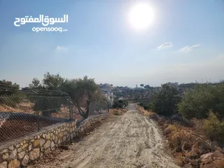  3 ارض مميزة في زبدا الكاشف