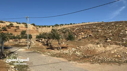  2 ارض للبيع جرش