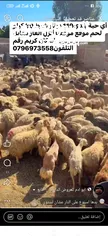  1 على استعداد ذبح الأضاحي في بيتك في الزرقاء بعد الصلاه محجوز