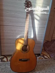  9 Acoustic Guitar Cort AF-550 NS جيتار اكوستك اصلي كورت اوتار جديدة موديل فخم للبيع
