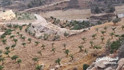  3 أرض في بيت كاحل مطلة على واد القف  شارع هيكلي لها من واد القف عرض 8 متر وشارع عرض 6م من بيت كاحل