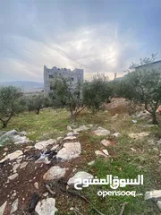  6 ارض للبيع نابلس_طلوزه